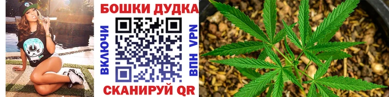 как найти   Няндома  Бошки марихуана THC 21% 